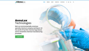 AnnuLox Technologies - Website Design