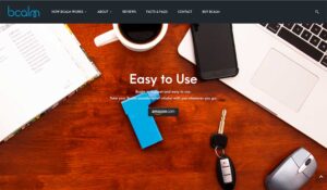 Bcalm.us Product Photo - Website Design