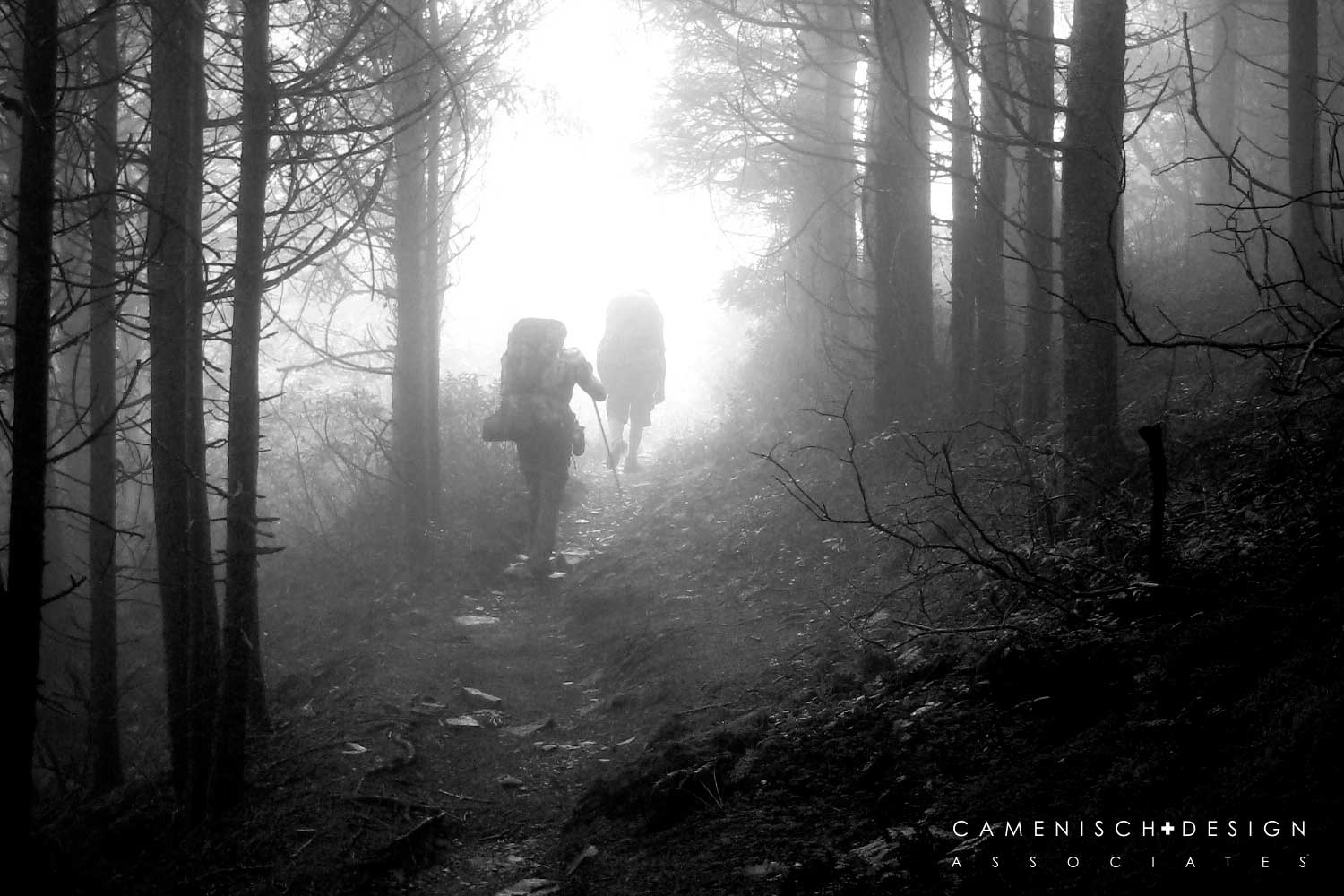 Foggy Trail Nature Photography - By Aaron Camenisch