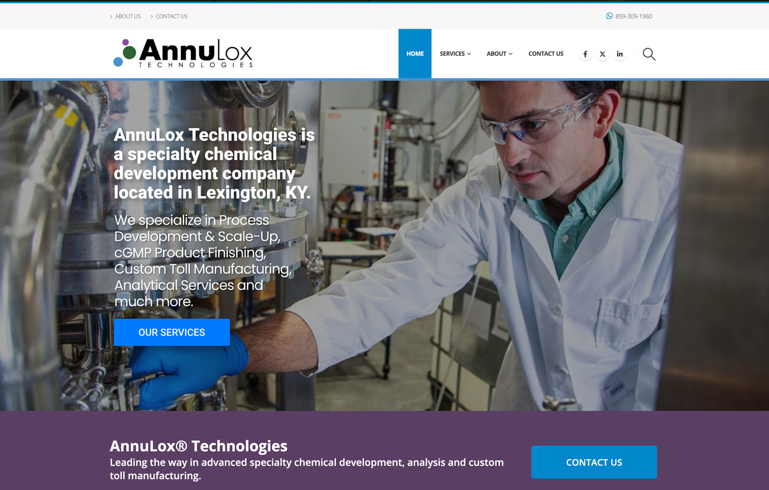 annulox-website-design-small-new-v2